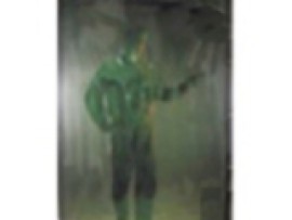 Занавеска зеленая 1,4х1,8 м прозрачная strip